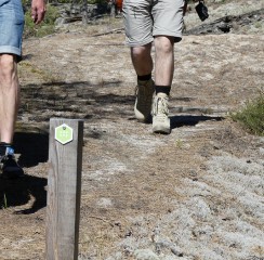 Bild på fötter och ben som vandrar längs en stig med ledmarkering.