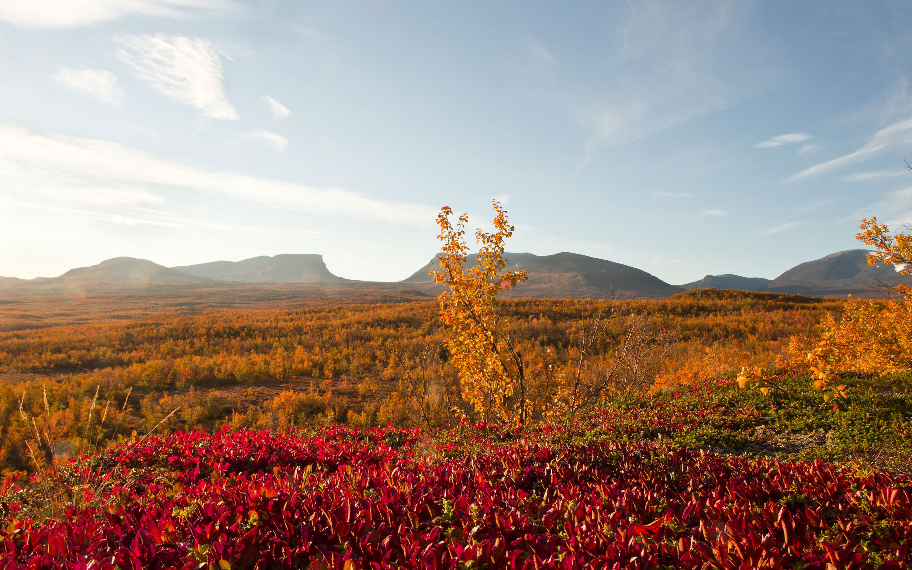 Mountain landscape in autumn colors.