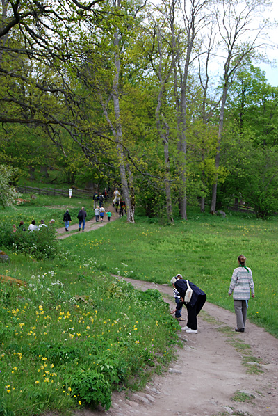 Människor på vandring genom ängsmarker i vårblom.