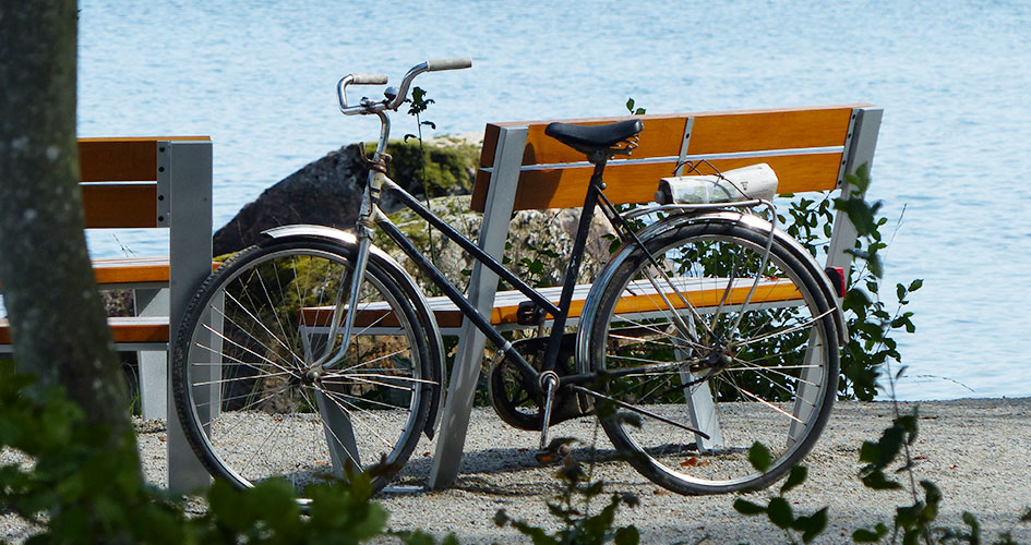 A bicycle is parked by the lake.