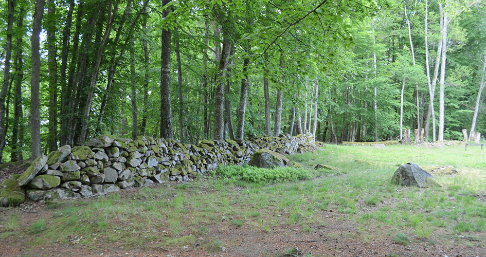En grön äng med en stenmur och skog i bakgrunden.