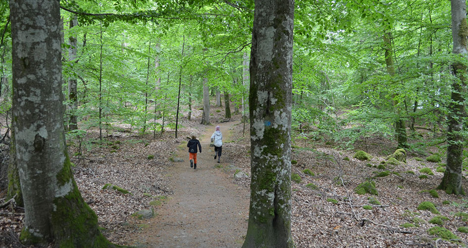 Två barn springer på en skogsstig.