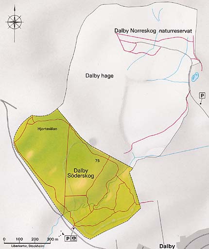Illustrerad karta över Dalby Söderskog nationalpark.