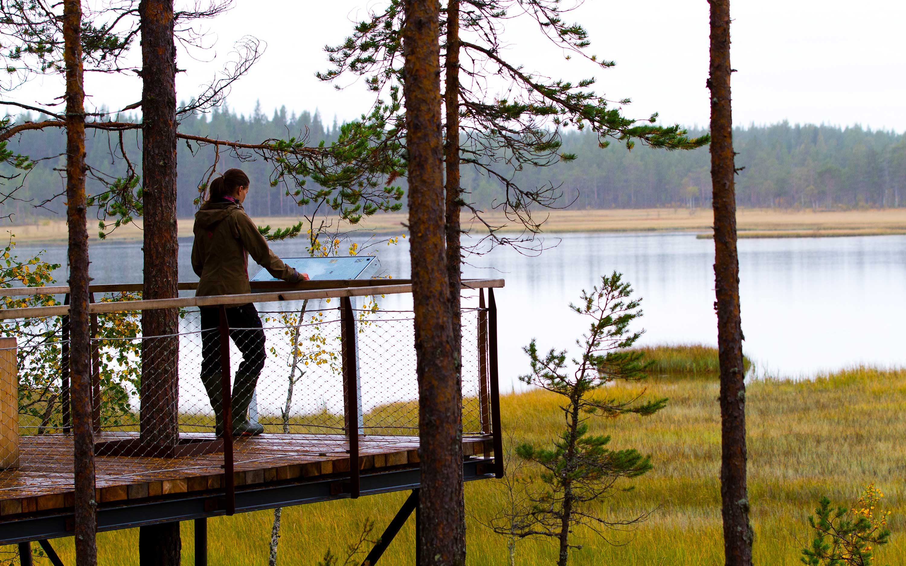 A woman stands at a lookout point and looks out over Swan lake.