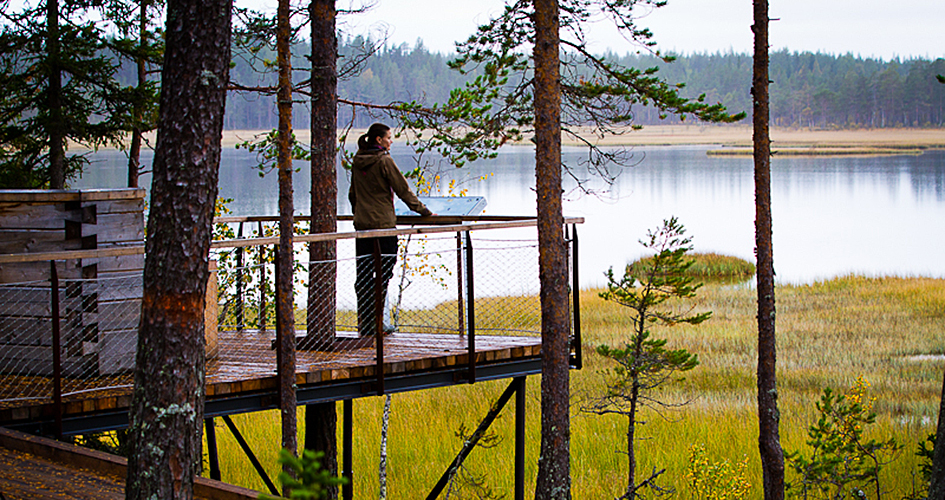Person står på utsiktsplats i trä och tittar ut över myr och sjö. 