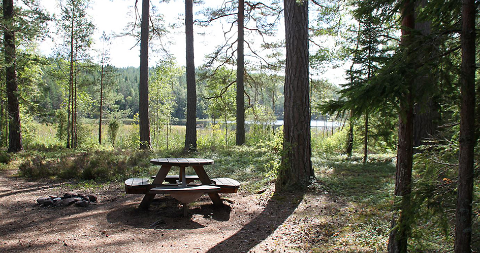 Rastplats med bord och bänk i ett med träd och vatten i bakgrunden.