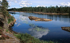 En sjö omsluten av granskog.